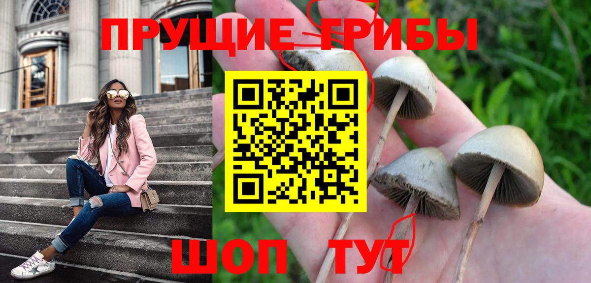 Касимов  Псилоцибиновые грибы Magic Shrooms  Вход с VPN  Галлюциногенные грибы Psilocybine cubensis 