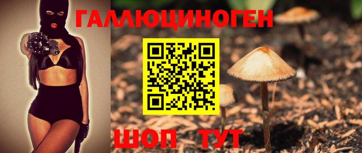 Галлюциногенные грибы Psilocybe Касимов
